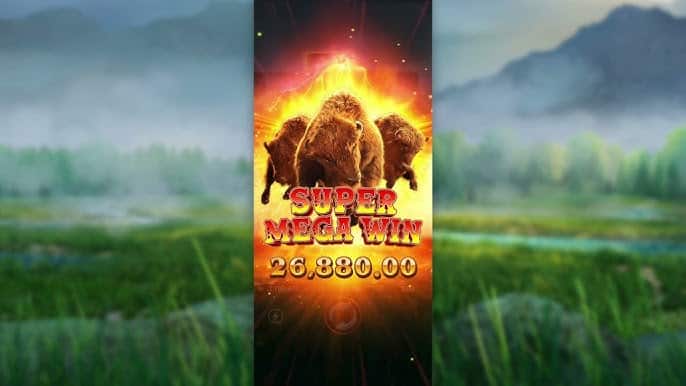 Amukan Kerbau Liar Pembawa Kejutan Besar Dari Buffalo Win